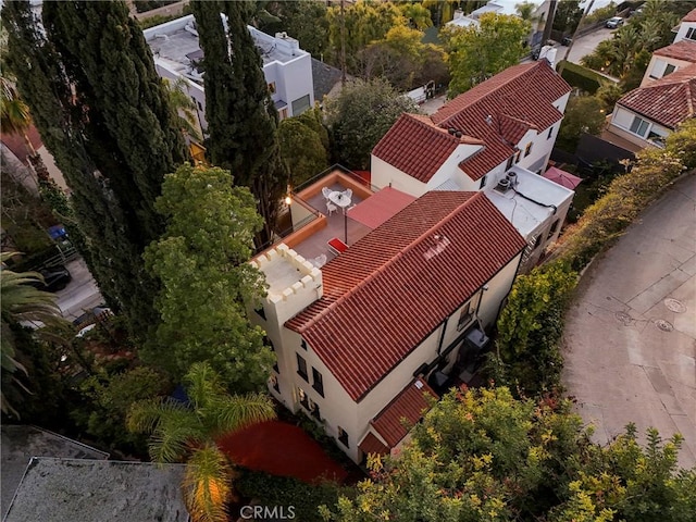 aerial view