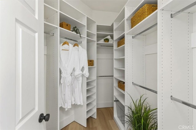 spacious closet featuring wood finished floors