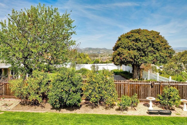 view of yard featuring a fenced backyard and a mountain view