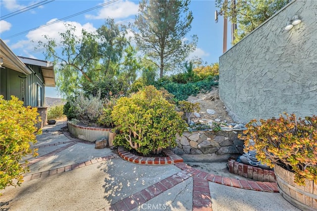 view of yard featuring a patio area