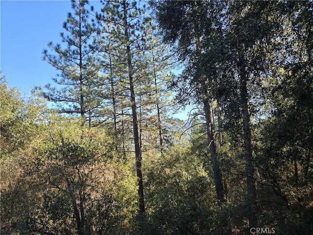 view of landscape featuring a wooded view