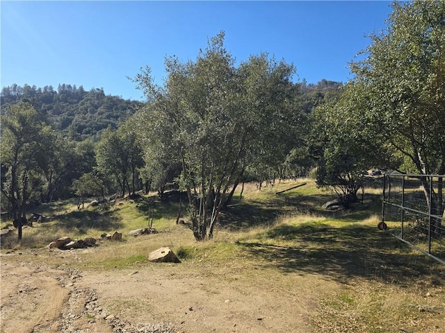 view of local wilderness with a rural view