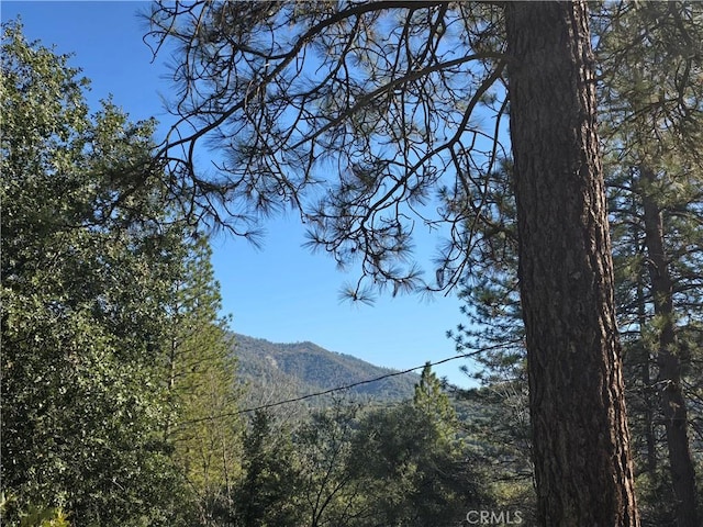 mountain view featuring a wooded view