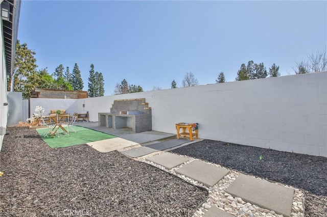 view of yard with a patio area, a fenced backyard, and area for grilling