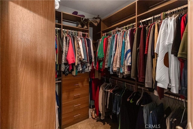 spacious closet featuring carpet floors