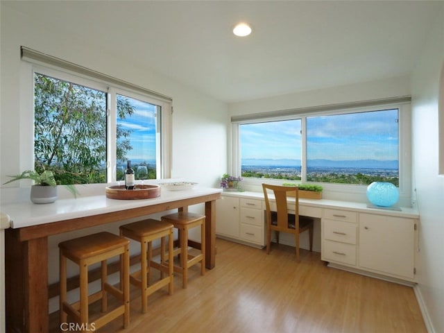 interior space with built in study area and a wealth of natural light