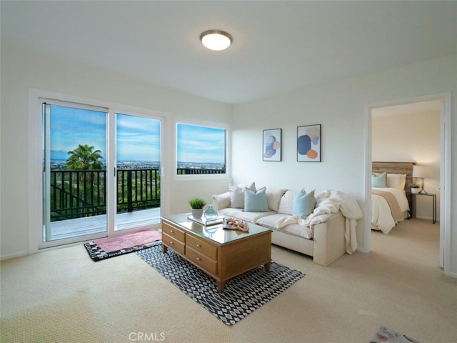 living area with carpet flooring