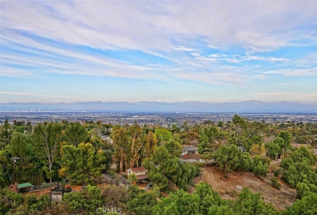 bird's eye view with a mountain view