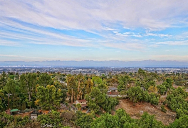 bird's eye view featuring a mountain view