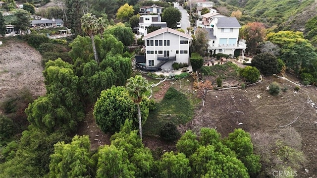 bird's eye view