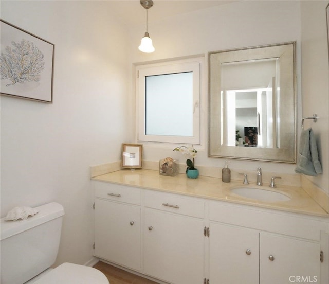 bathroom with toilet and vanity