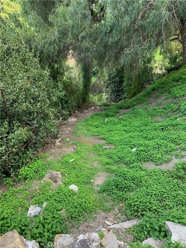exterior space featuring a forest view