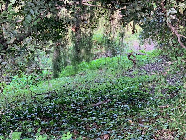 view of nature