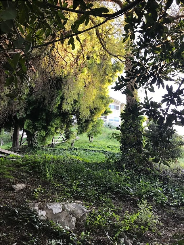 view of landscape