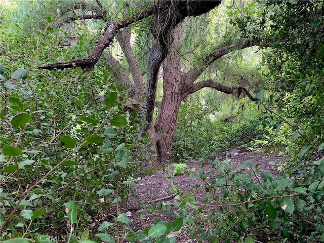 view of landscape featuring a wooded view