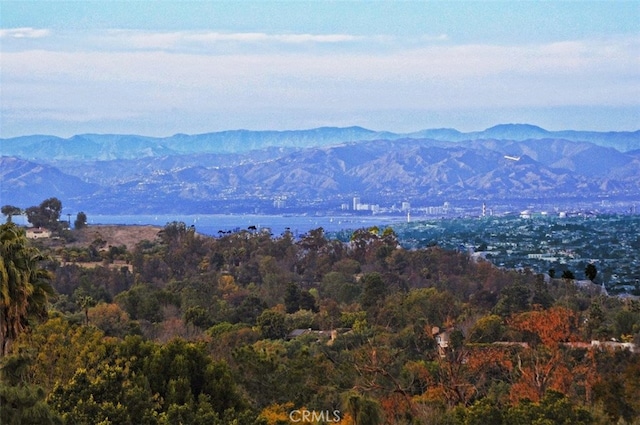 view of mountain feature featuring a wooded view