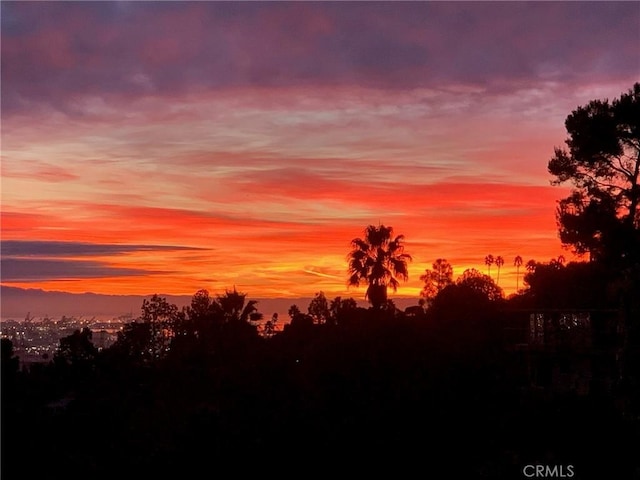 view of nature at dusk
