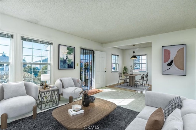 living area with a textured ceiling