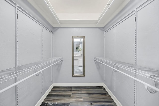 walk in closet with a tray ceiling and dark wood finished floors