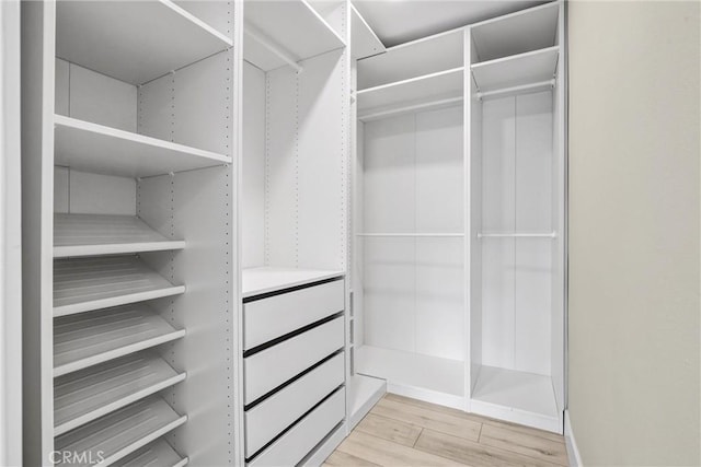 walk in closet featuring light wood finished floors