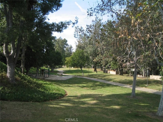 surrounding community featuring a yard