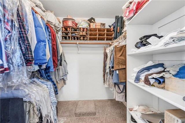 30220 Skippers Way Dr, Canyon Lake, CA 92587 - walk in closet featuring carpet
