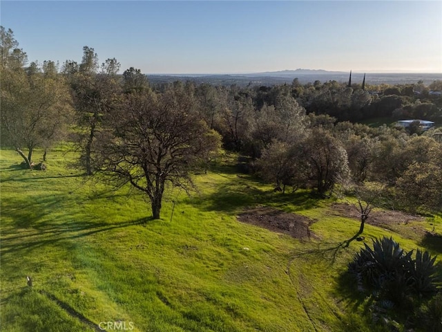 birds eye view of property with a forest view