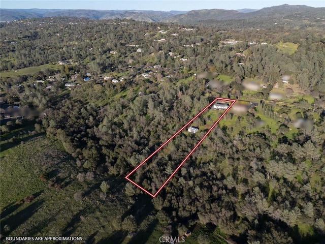 bird's eye view with a mountain view and a view of trees