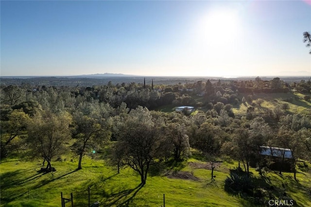 aerial view featuring a view of trees