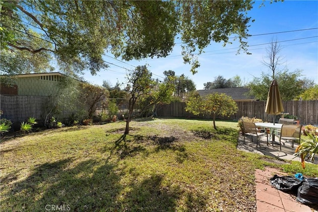 view of yard with a patio area and a fenced backyard