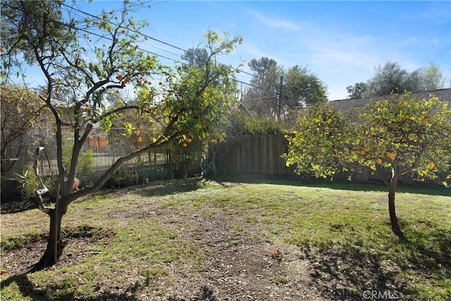 view of yard featuring a fenced backyard