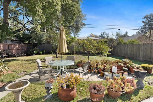 view of yard featuring a fenced backyard and a patio