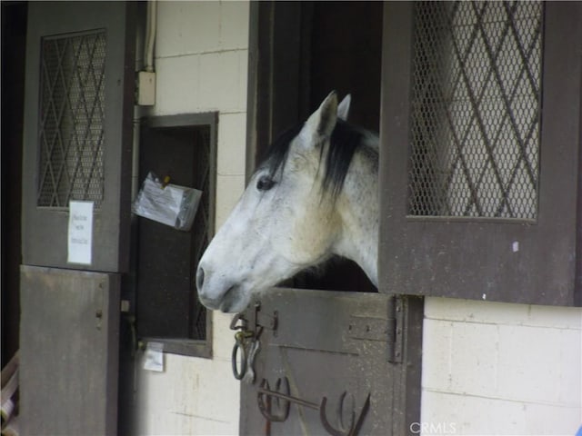 view of horse barn