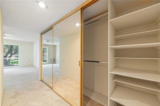 view of closet