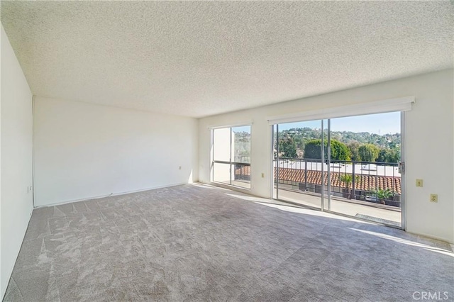 spare room featuring carpet flooring and a textured ceiling