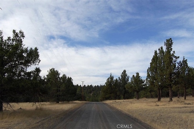 0 Grizzley Dr, Alturas CA, 96101 land for sale