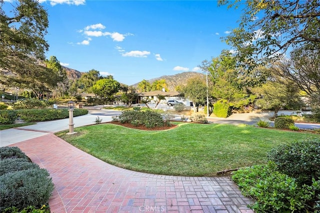 view of community with a lawn and a mountain view