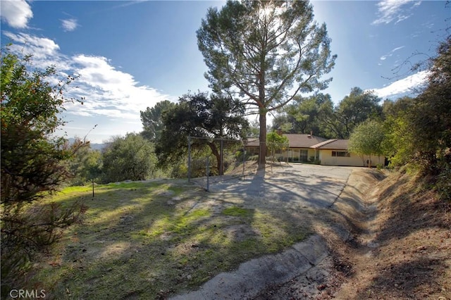 view of yard featuring driveway