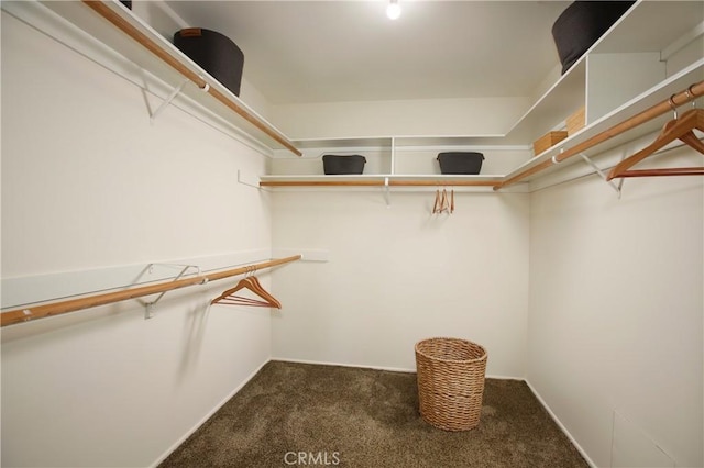 spacious closet with carpet