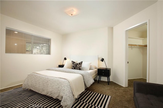 bedroom with a walk in closet, dark colored carpet, and a closet