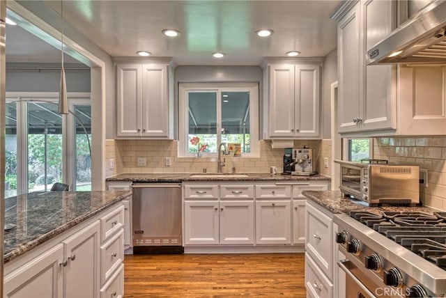 kitchen featuring stainless steel dishwasher, white cabinetry, a sink, and ventilation hood