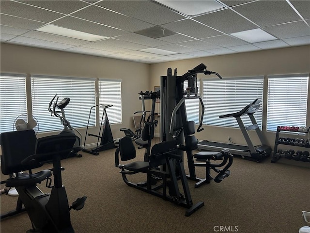 workout area with carpet and a drop ceiling