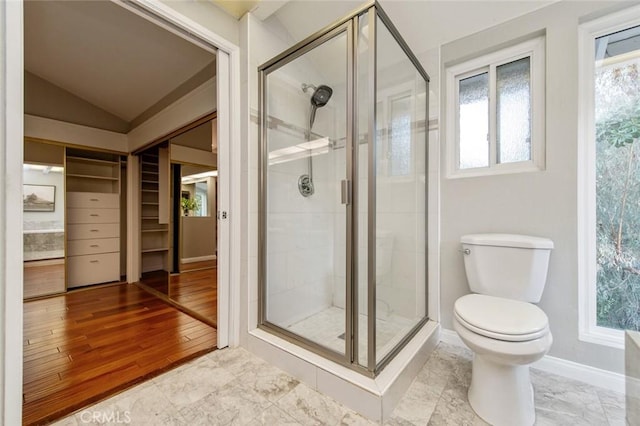 full bath featuring toilet, a stall shower, plenty of natural light, and lofted ceiling