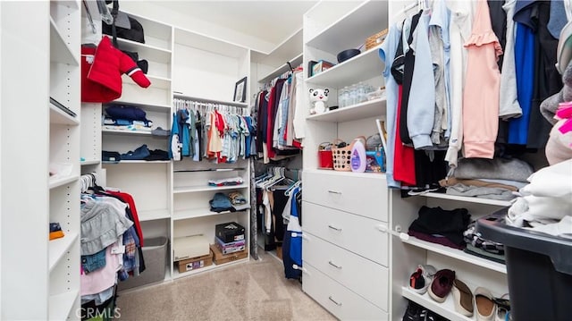 walk in closet with light colored carpet