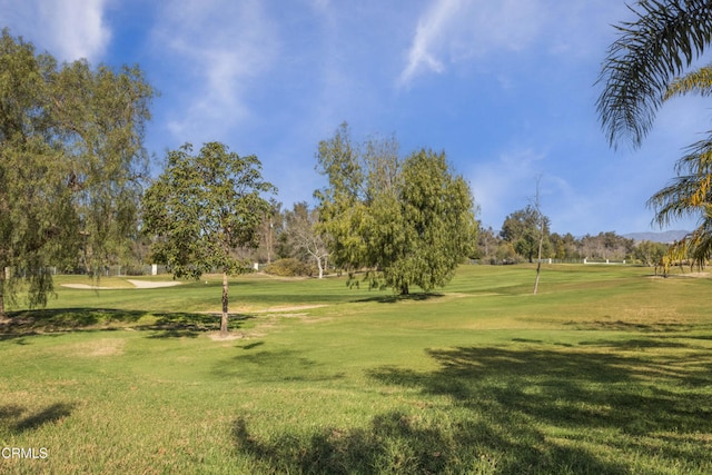 view of community featuring a lawn