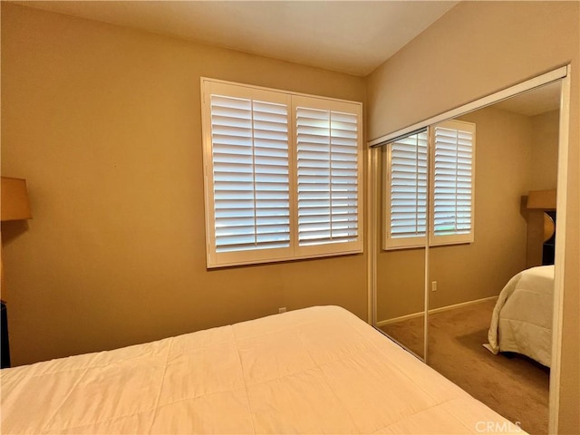 bedroom with carpet and a closet