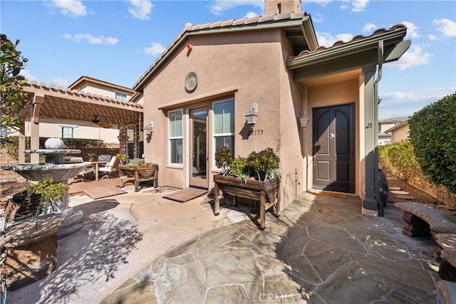 back of property featuring a pergola, a patio area, and stucco siding