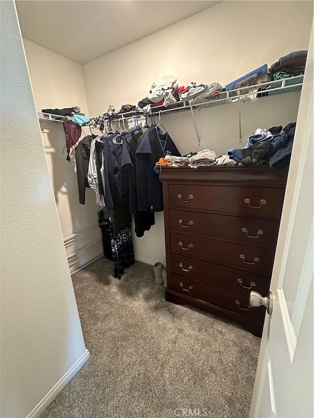 spacious closet featuring light carpet