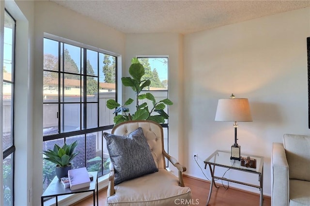 living area featuring a textured ceiling and wood finished floors