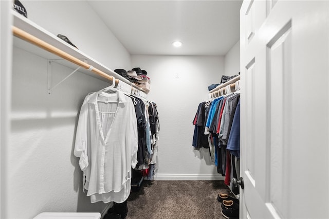 walk in closet with carpet floors and attic access